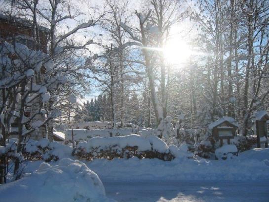 Пансион Moorstubn Gasthof