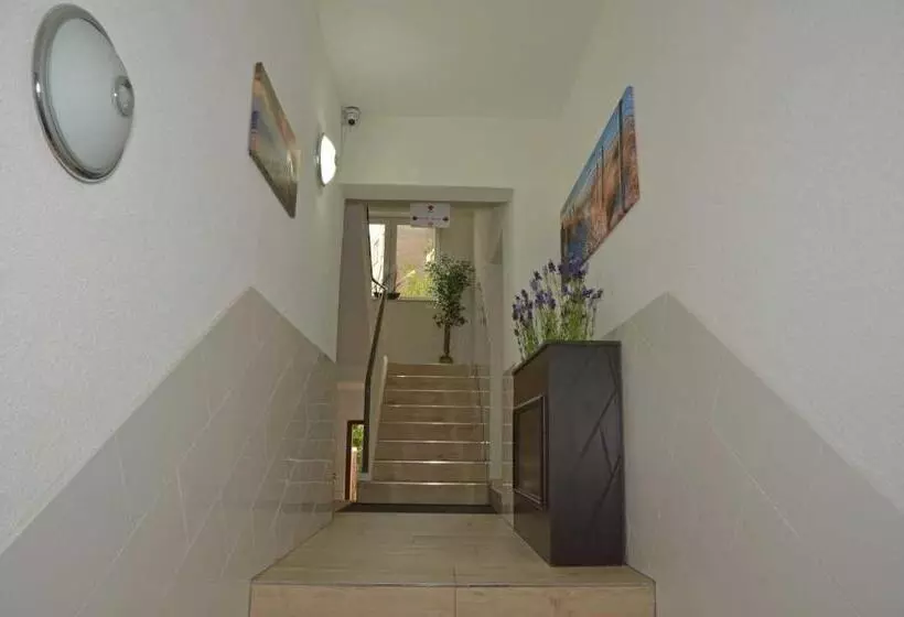 هتل Neptuns Ankerplatz & Zur Seerobbe