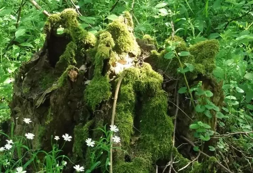 Nigel Restaurant & Hotel Im Wendland