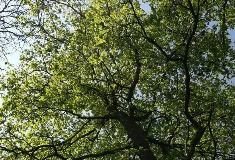 Nigel Restaurant & Hotel Im Wendland