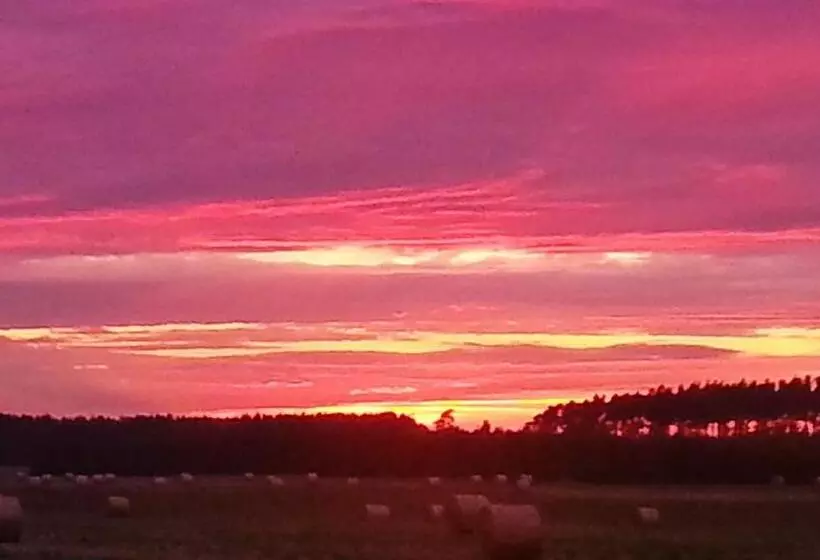 Nigel Restaurant & Hotel Im Wendland