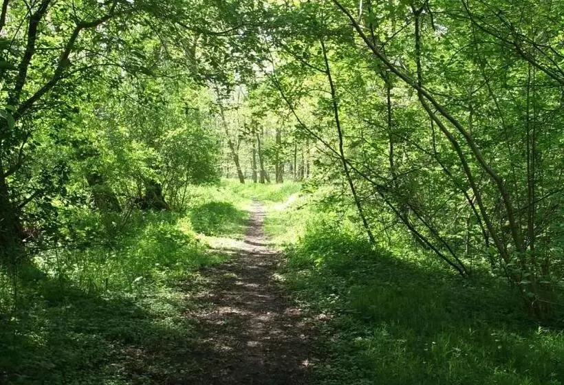 Nigel Restaurant & Hotel Im Wendland