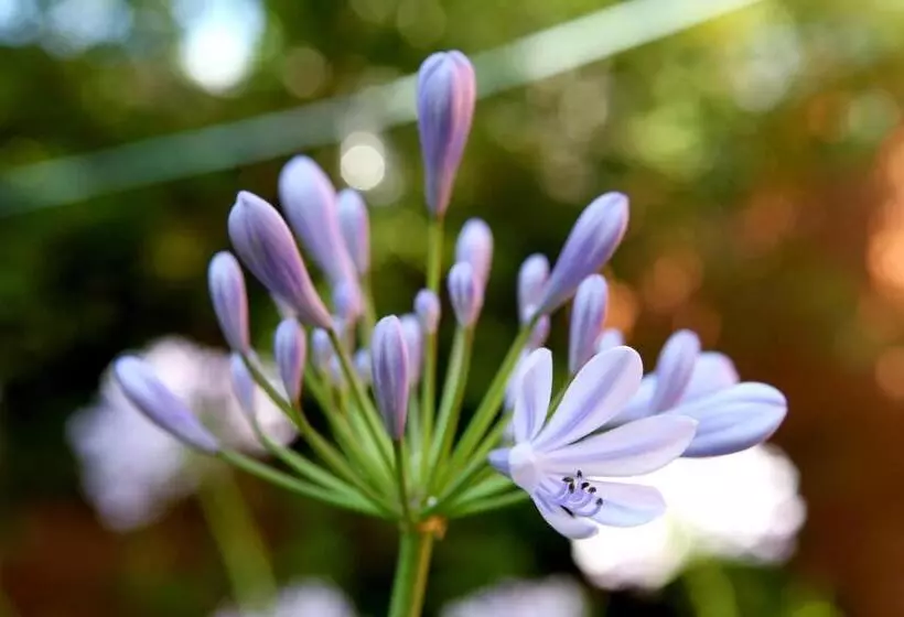 Nigel Restaurant & Hotel Im Wendland