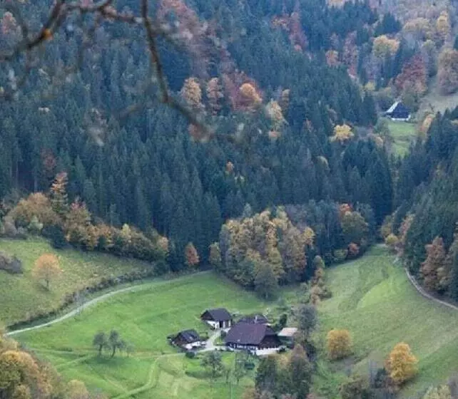 Пансион Berghotel Und Restaurant Kräuter Chalet