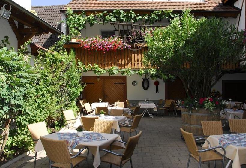 بنسيون Weinhotel / Gasthaus Zur Sonne
