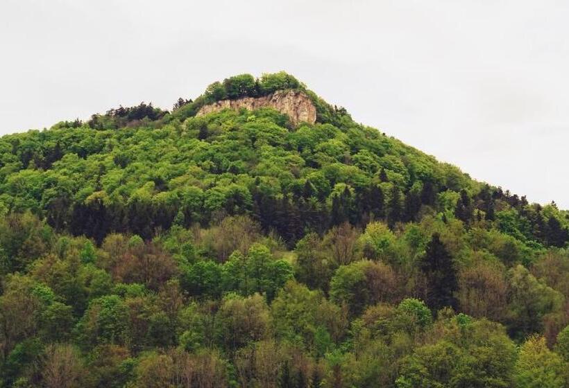 Alb Hotel Schalksburg