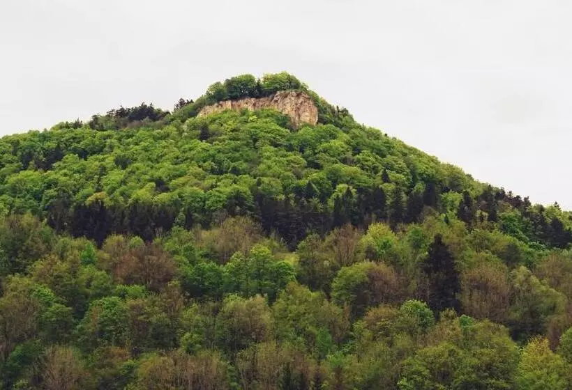 Alb Hotel Schalksburg