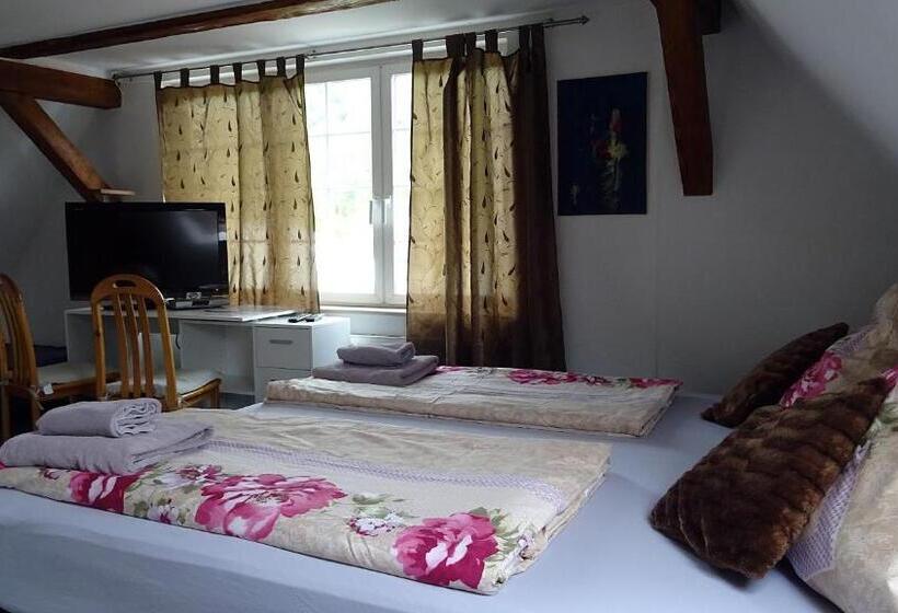 Alb Hotel Schalksburg