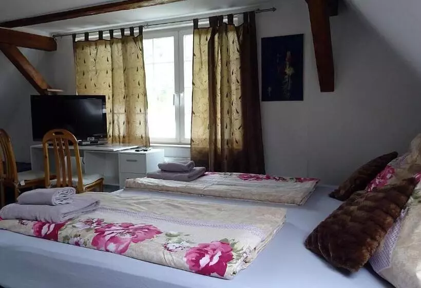 Alb Hotel Schalksburg