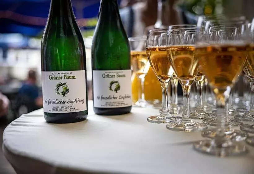 호텔 Grüner Baum