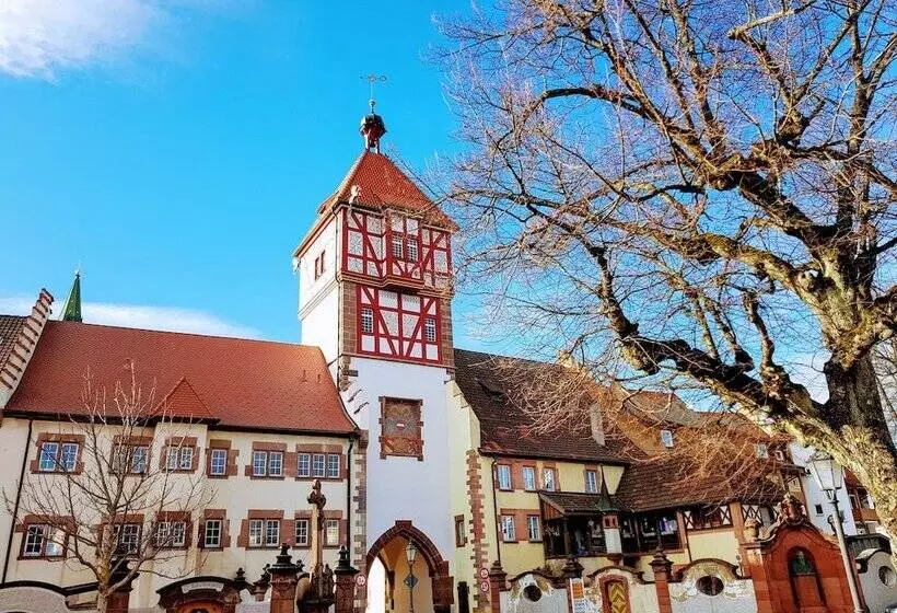 Отель Restaurant Lindenhof