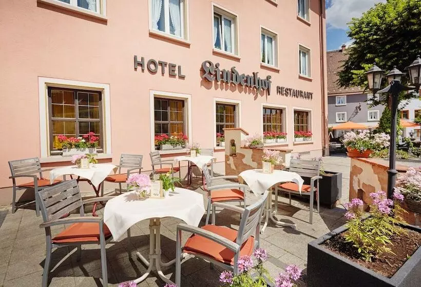 Отель Restaurant Lindenhof