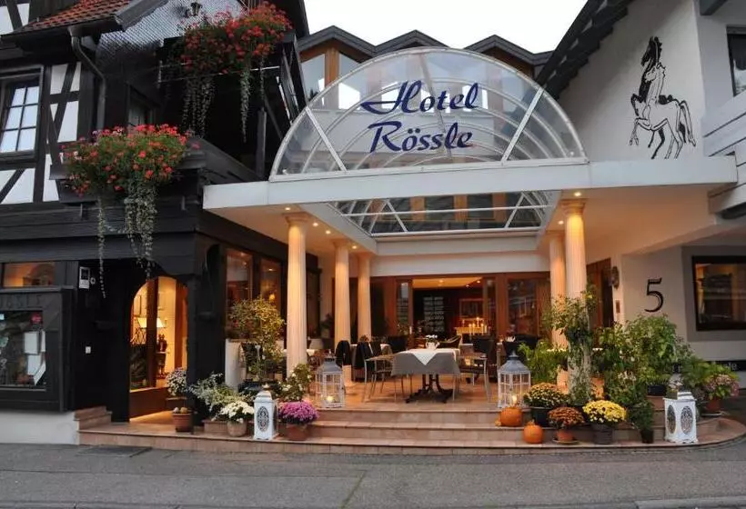 Отель Rössle