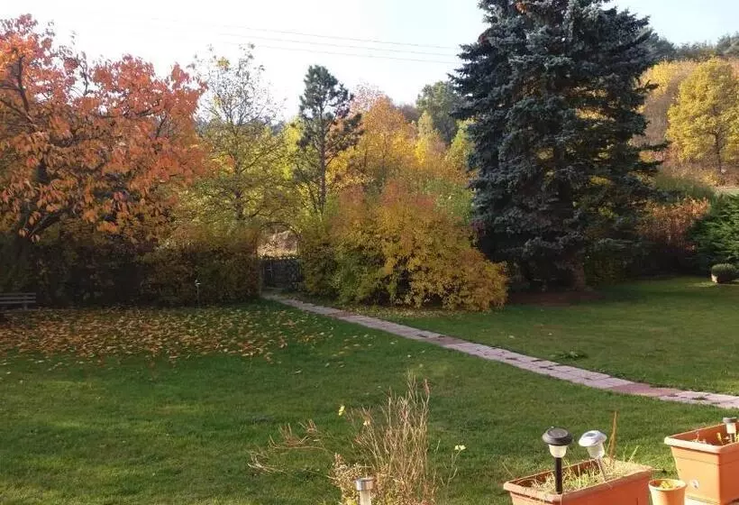 Отель Sonnenhof