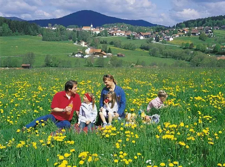 ホテル Morada  Bischofsmais