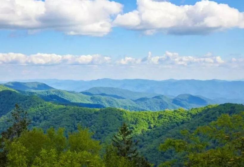 Chasing Views Tiny House