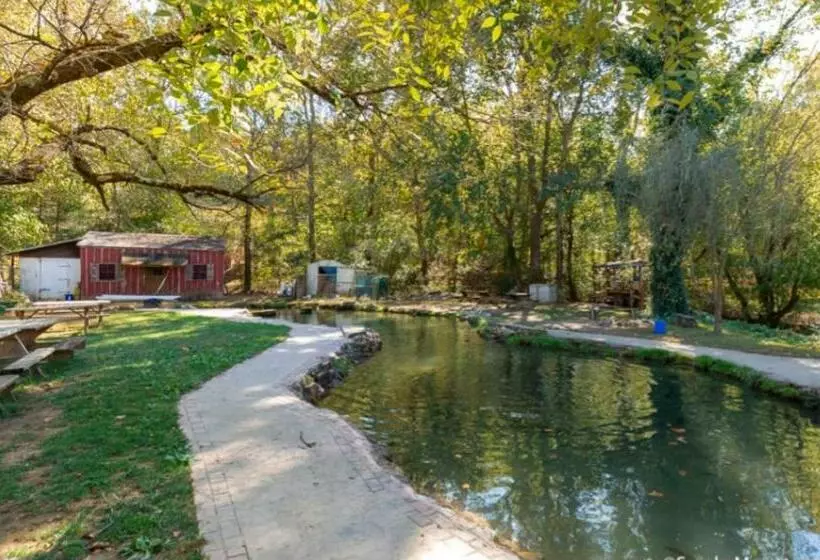 Chasing Views Tiny House