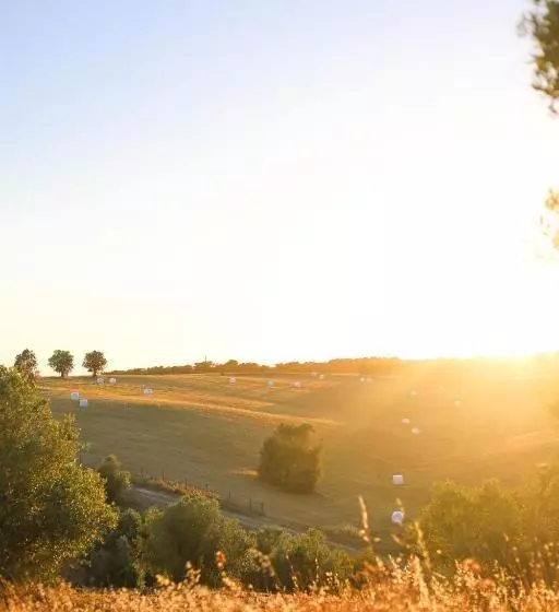 Hotelli Sleep & Nature