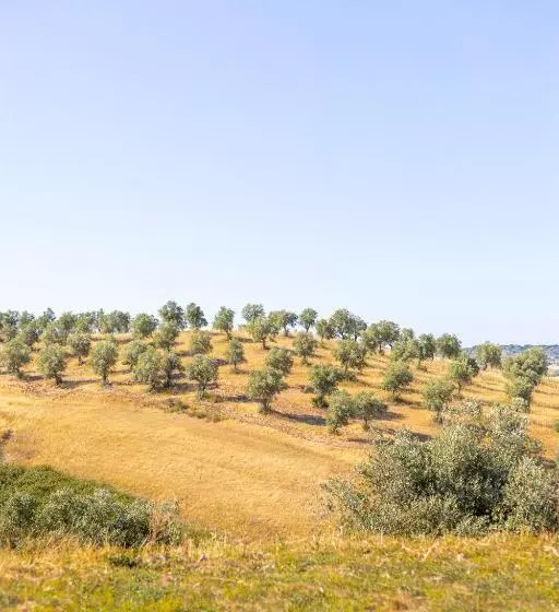 Hotelli Sleep & Nature