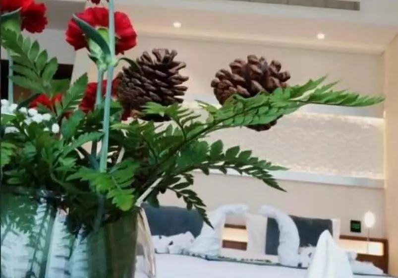 Cielo Hotel Lusail Qatar