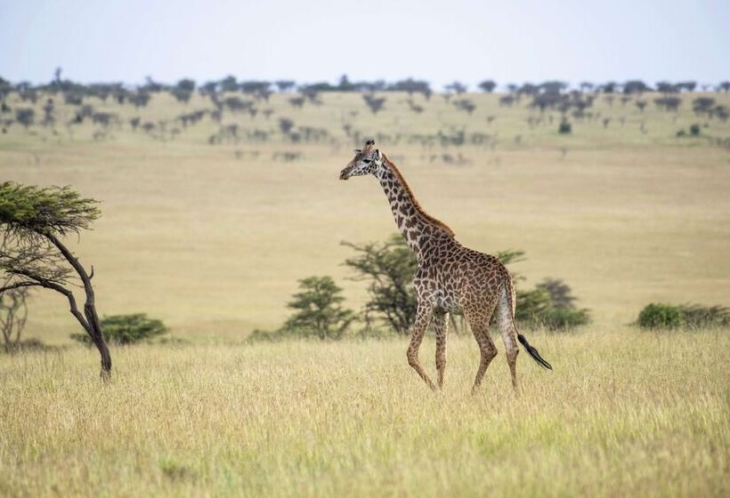 هتل Olare Mara Kempinski