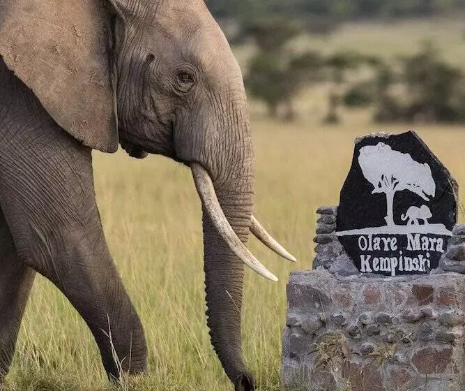 هتل Olare Mara Kempinski