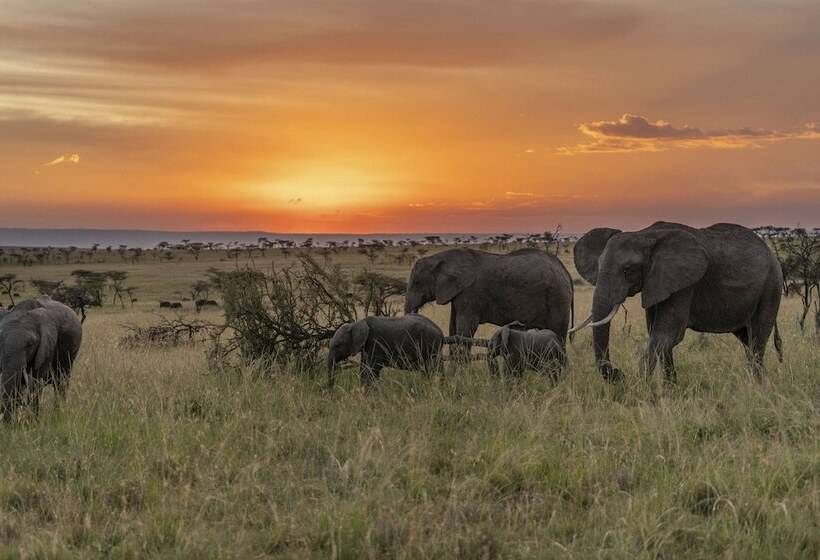 هتل Olare Mara Kempinski