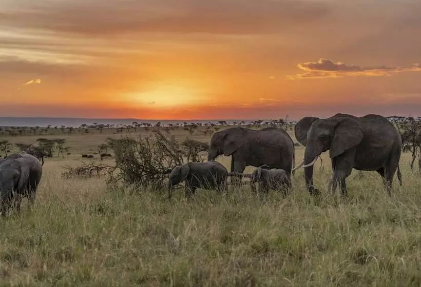 هتل Olare Mara Kempinski