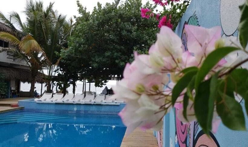 בית מלון כפרי Playa Zipolite