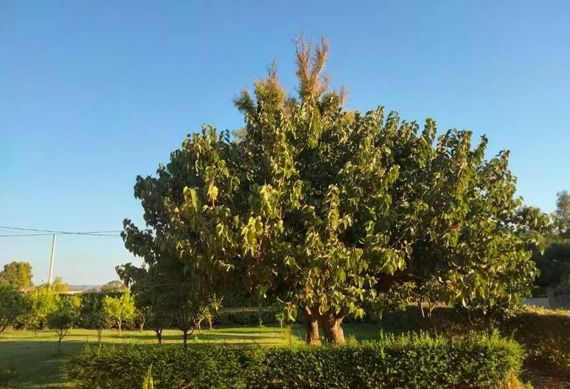ホテル Agriturismo I Doni Del Mandorlo