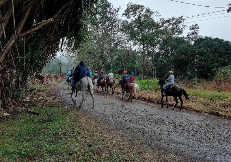فندق Santa Maria Volcano Lodge