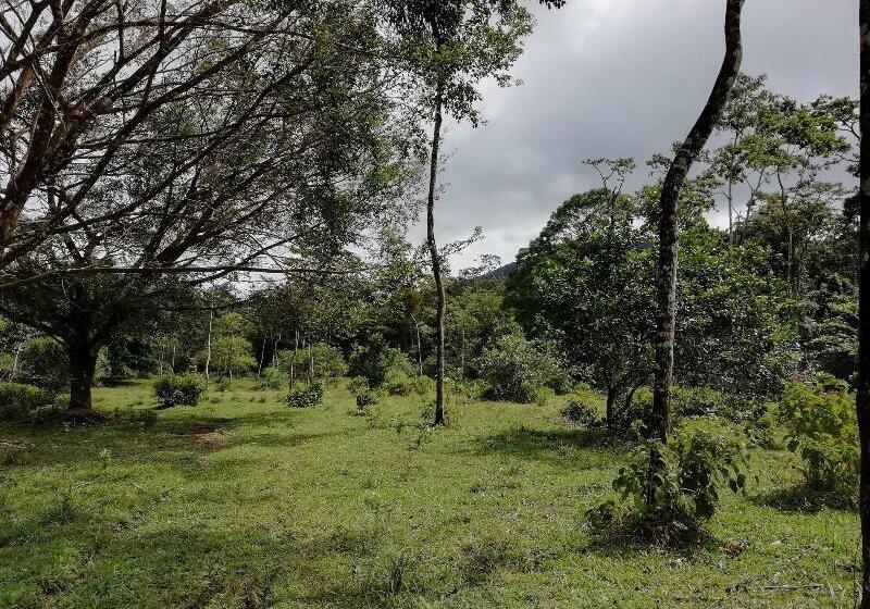 فندق Santa Maria Volcano Lodge