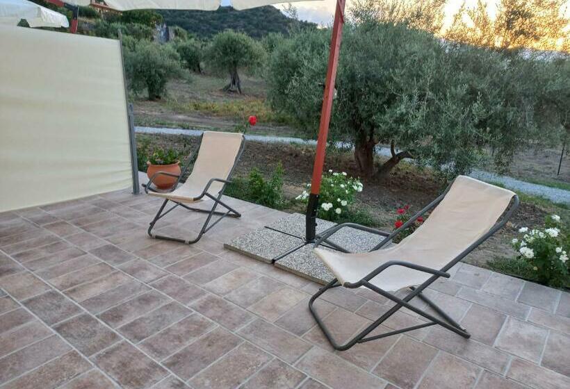 צימר L Albero Della Manna