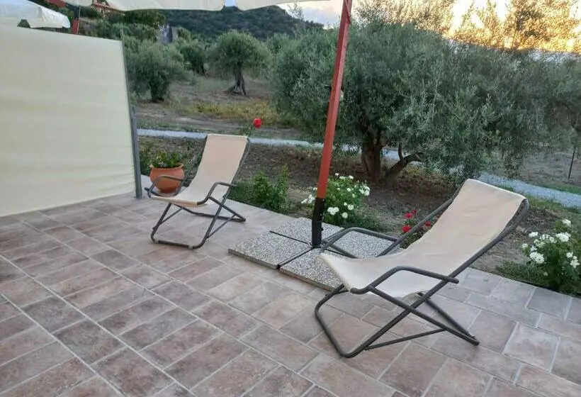 ベッドアンドブレックファースト L Albero Della Manna