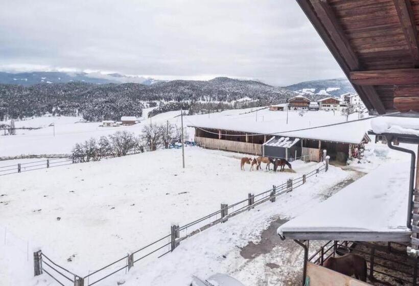 Ladinser Hof Kuschelecke