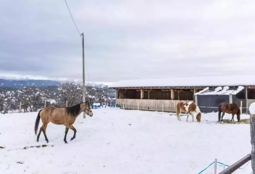 Ladinser Hof Kuschelecke