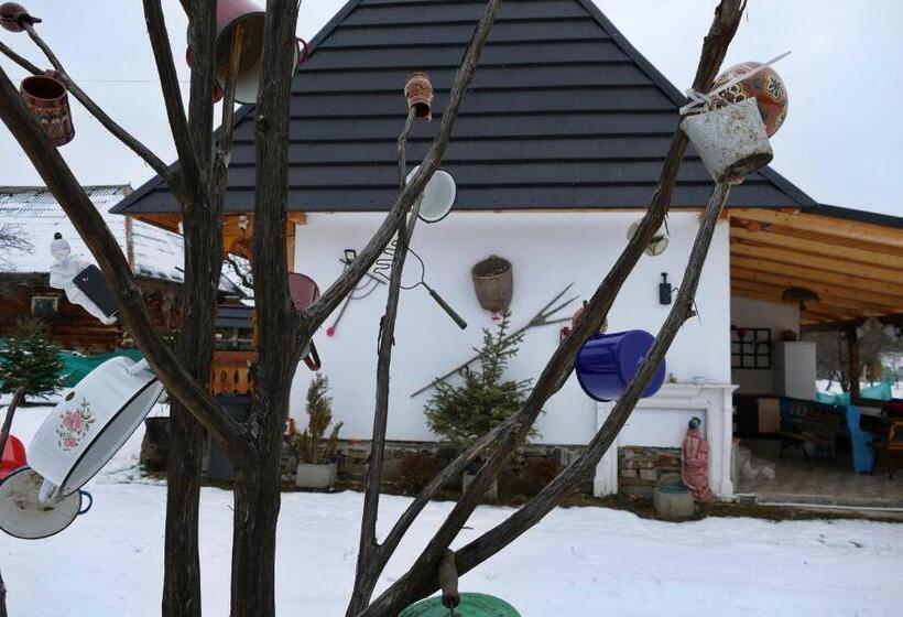 پانسیون Roua De Sub Creasta