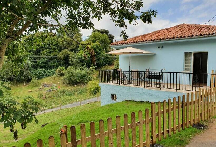 Vv85 Vivienda Vacacional Casa Tames