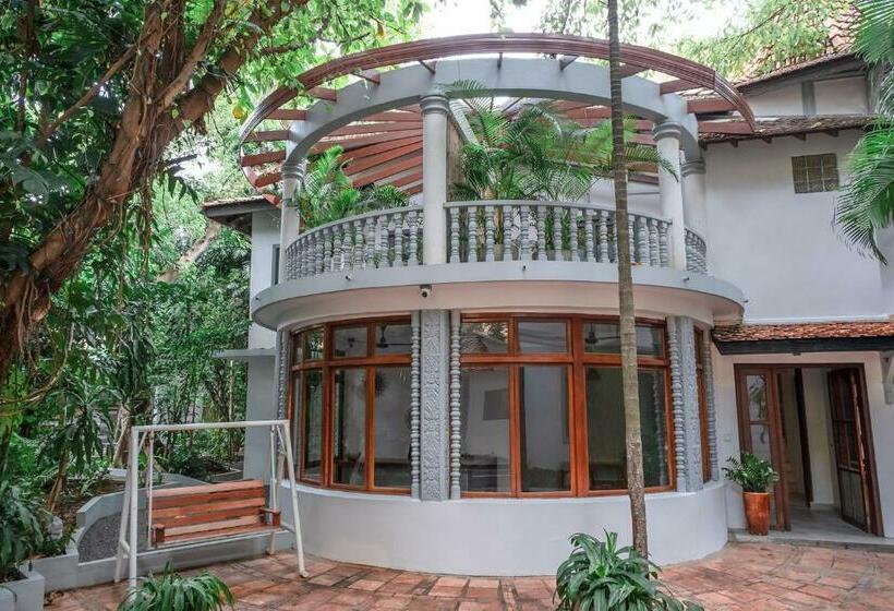 בית מלון כפרי Jungle Addition