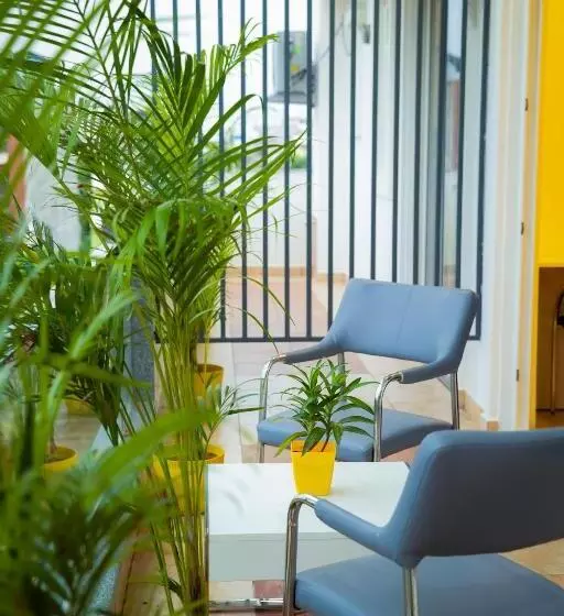 ホテル Lime Tree Luxury Studio   Service Apartment Near Artemis Hospital ,gurgaon