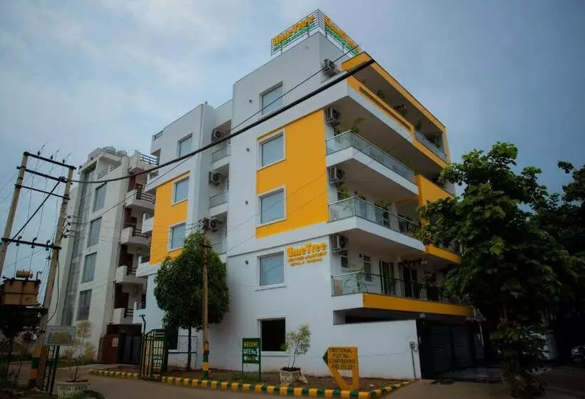 ホテル Lime Tree Luxury Studio   Service Apartment Near Artemis Hospital ,gurgaon