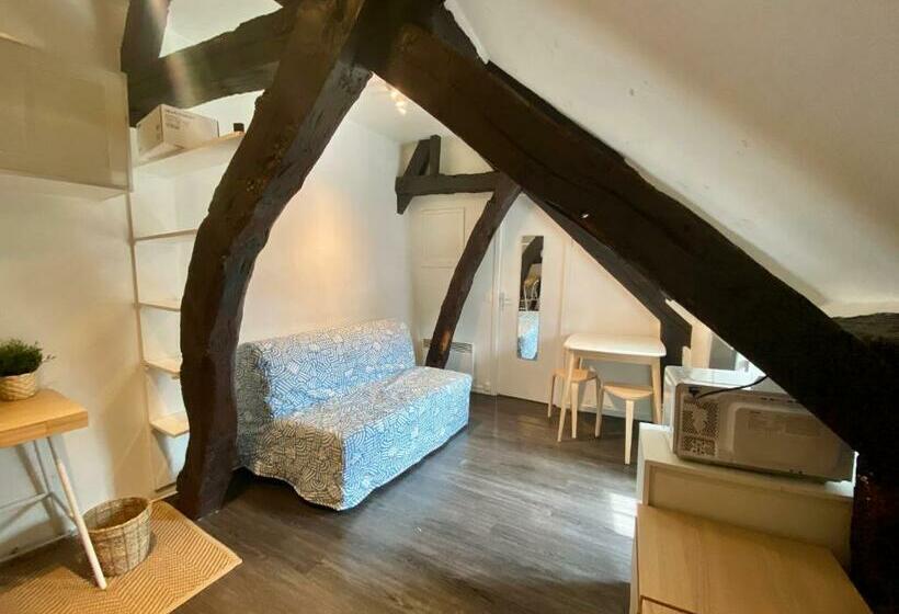 Sous Le Ciel De Rouen   Superbe Studio Centre   076