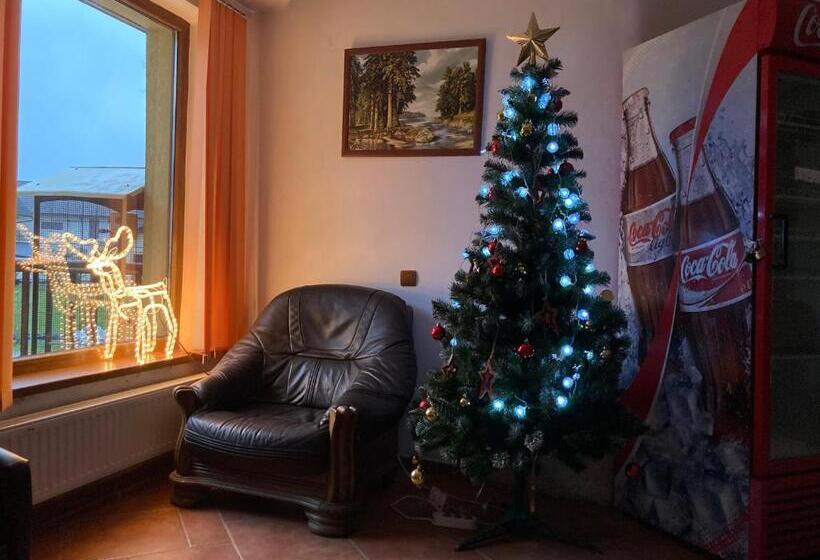 Pensió Vila Ianis Bran