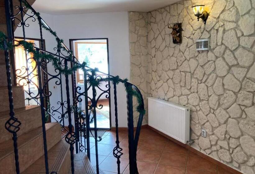 بنسيون Vila Ianis Bran