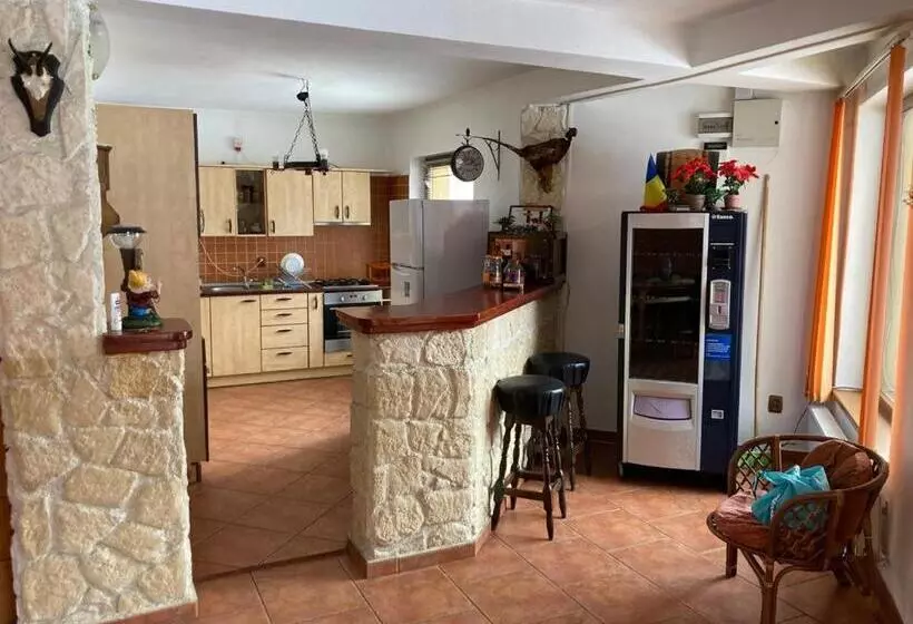 پانسیون Vila Ianis Bran