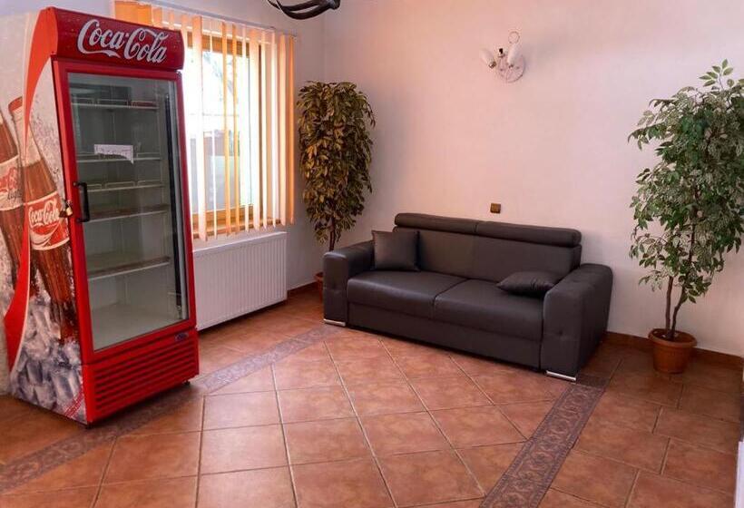 بنسيون Vila Ianis Bran