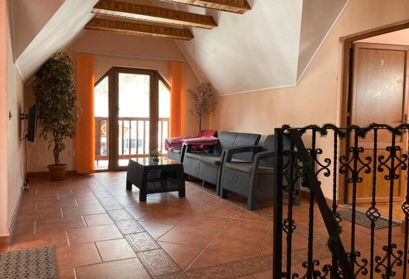 بنسيون Vila Ianis Bran