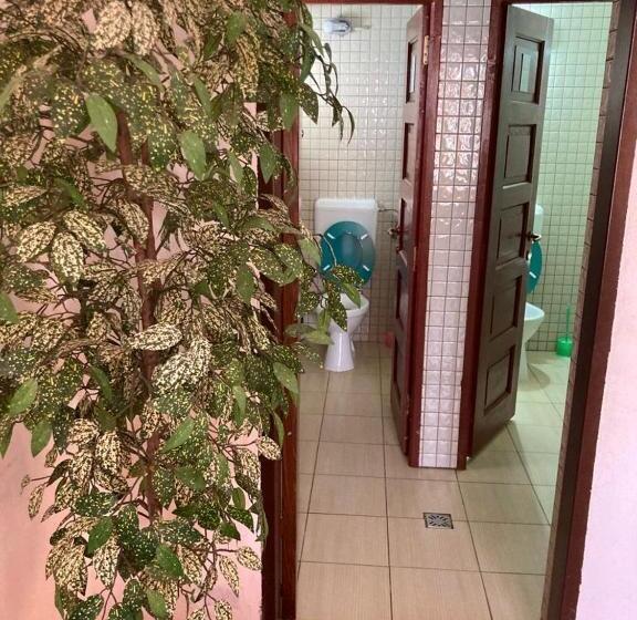 Pensió Vila Ianis Bran