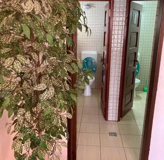 پانسیون Vila Ianis Bran