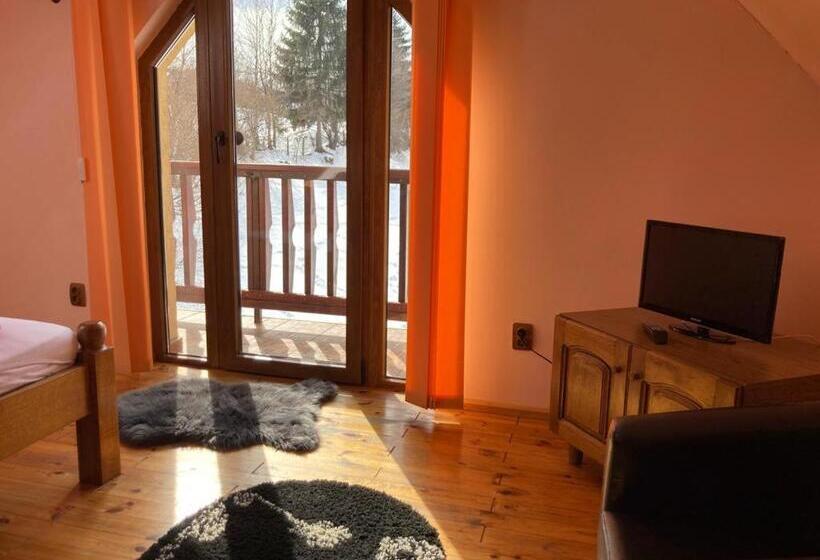 بنسيون Vila Ianis Bran